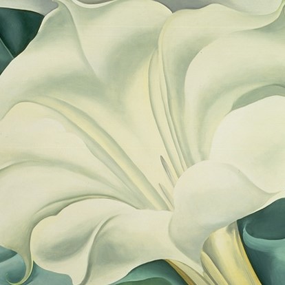 White Trumpet Flower by Georgia O'Keeffe