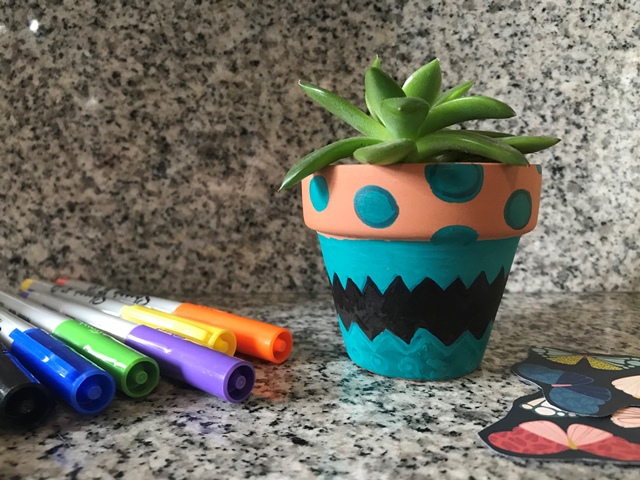 Markers and painted pot with succulent