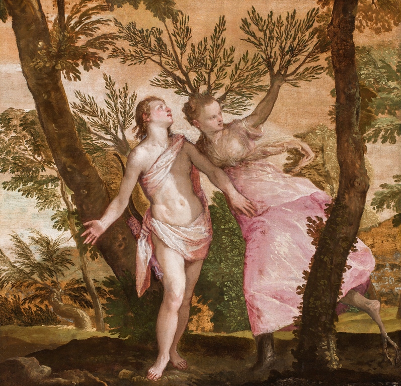 Apollo and Daphne painting by Paolo Caliari (AKA Veronese)