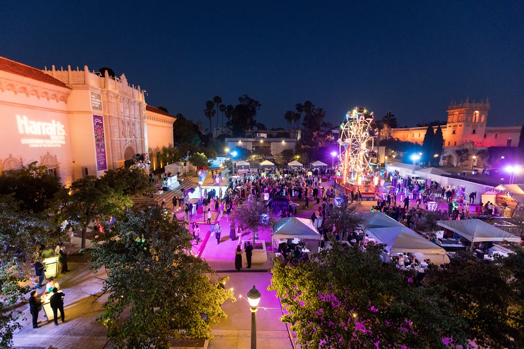 Bloom Bash aerial view