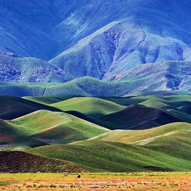 Green rolling hills with blue mountains in background