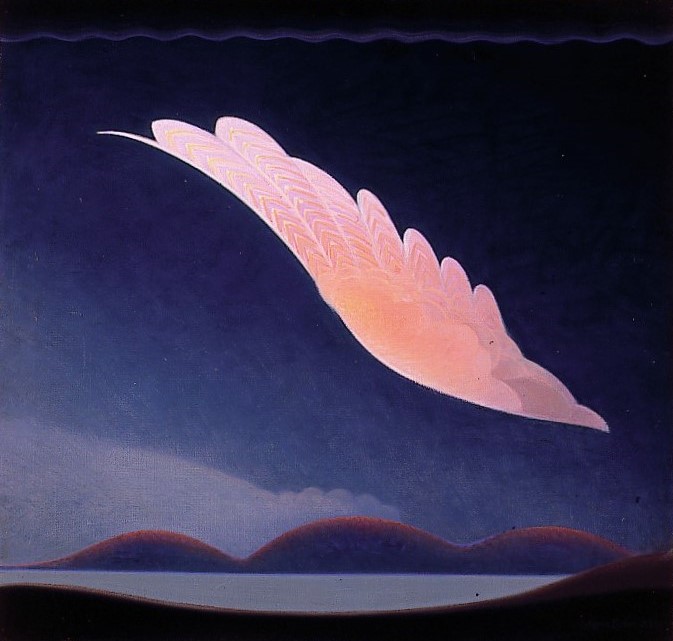 pink wing floating with dark blue sky background