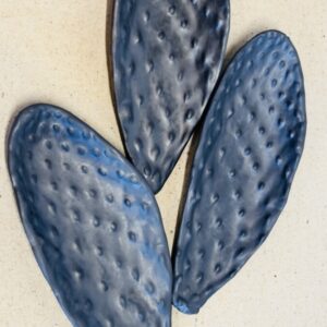 Nopal Paddle Platter