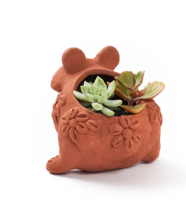 Rakshana Frog Terracotta Plant Pot - Image 2
