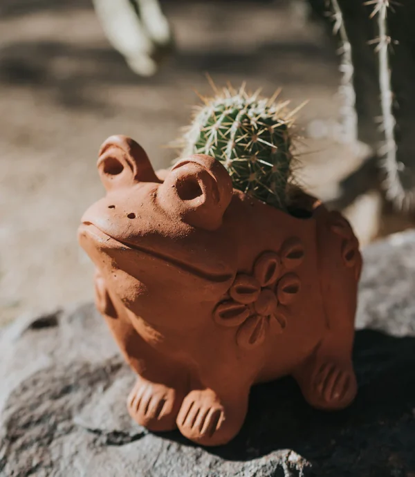Rakshana Frog Terracotta Plant Pot - Image 3