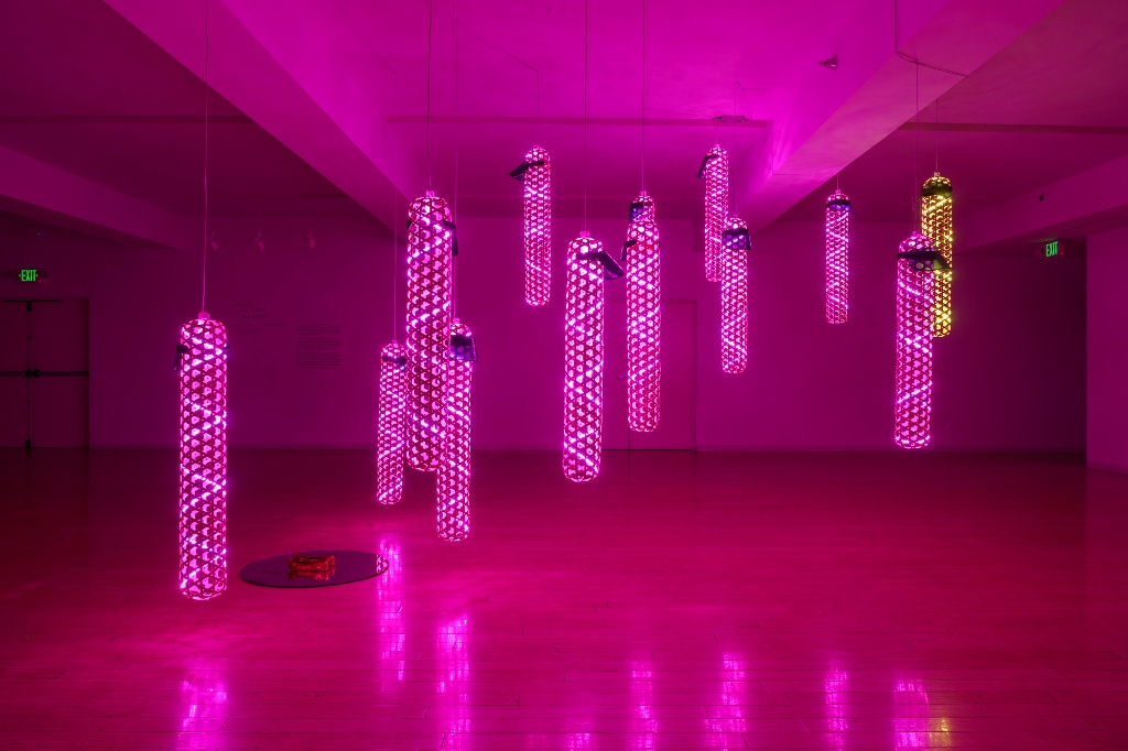 Seven Sisters Merope Version art by Mirae RHEE lit in pink