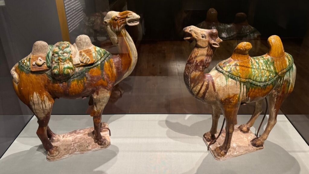 Camels, 8th century, China