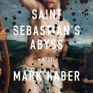 Saint Sebastian's Abyss a novel by Mark Haber