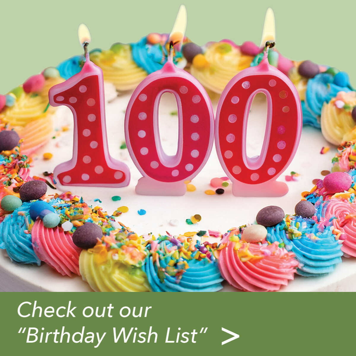 Birthday cake with 100 candles and invite to Check Out Our Birthday Wish List