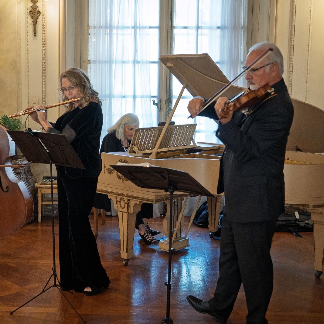 Camarada chamber musicians